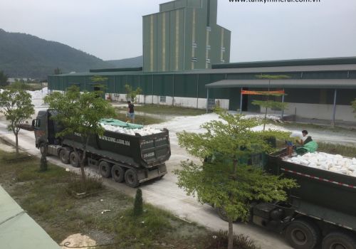 Tuyển dụng nhân viên kinh doanh xuất nhập khẩu (8.2019)