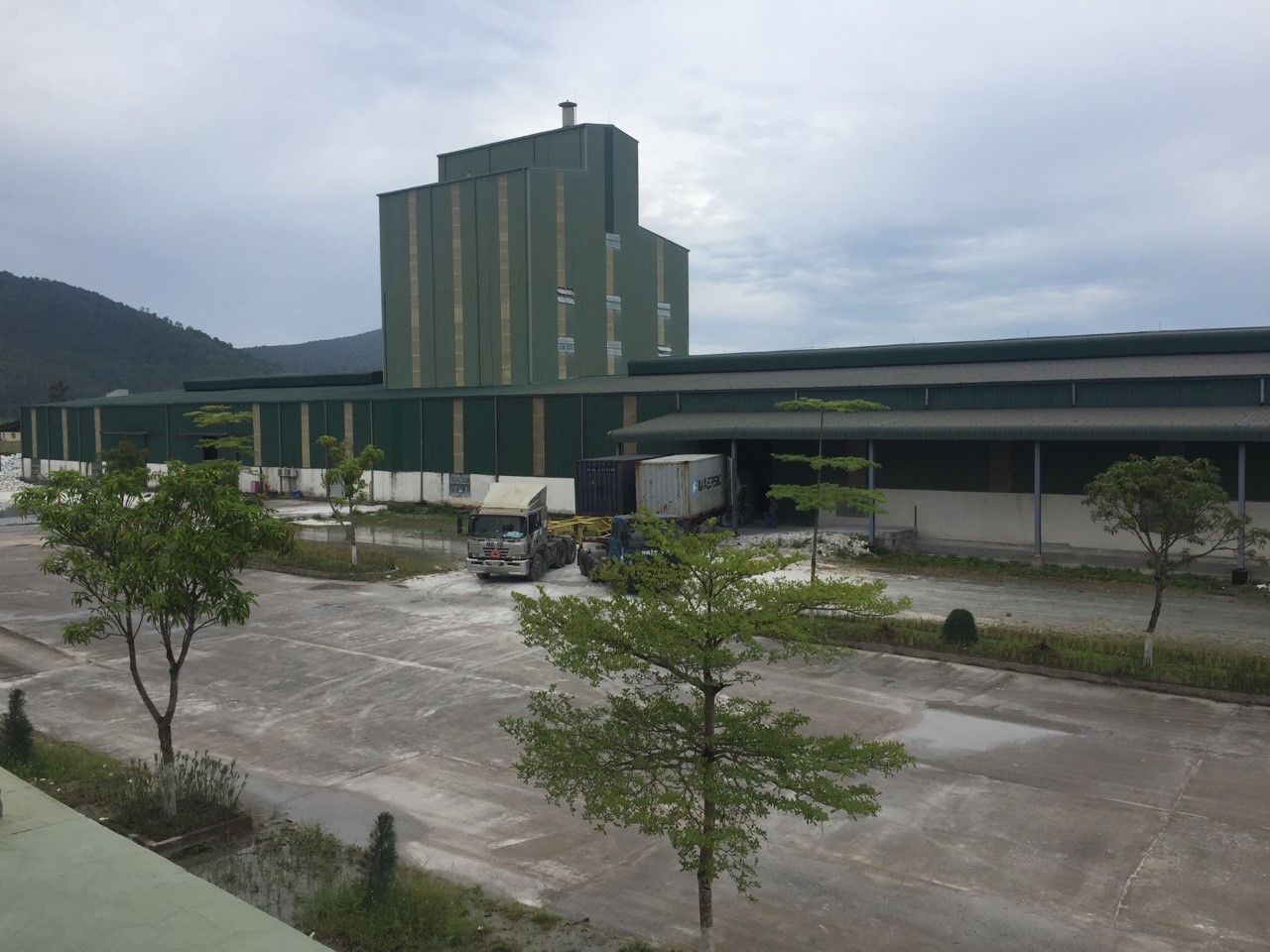 z1628178571588_23341cc874fcbeab06f977d6759a3d03